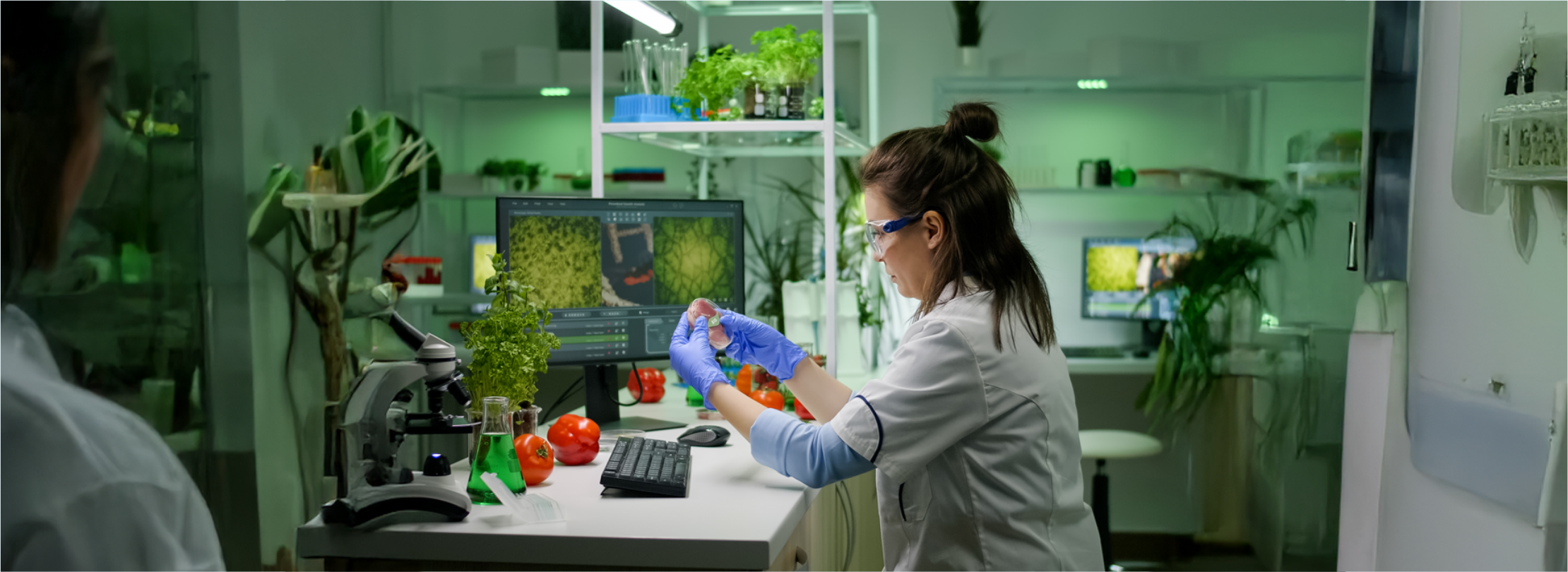 Sustainability & Impact